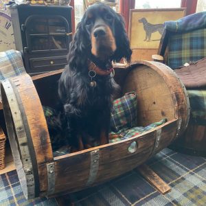 Whisky Barrel Pet Bed